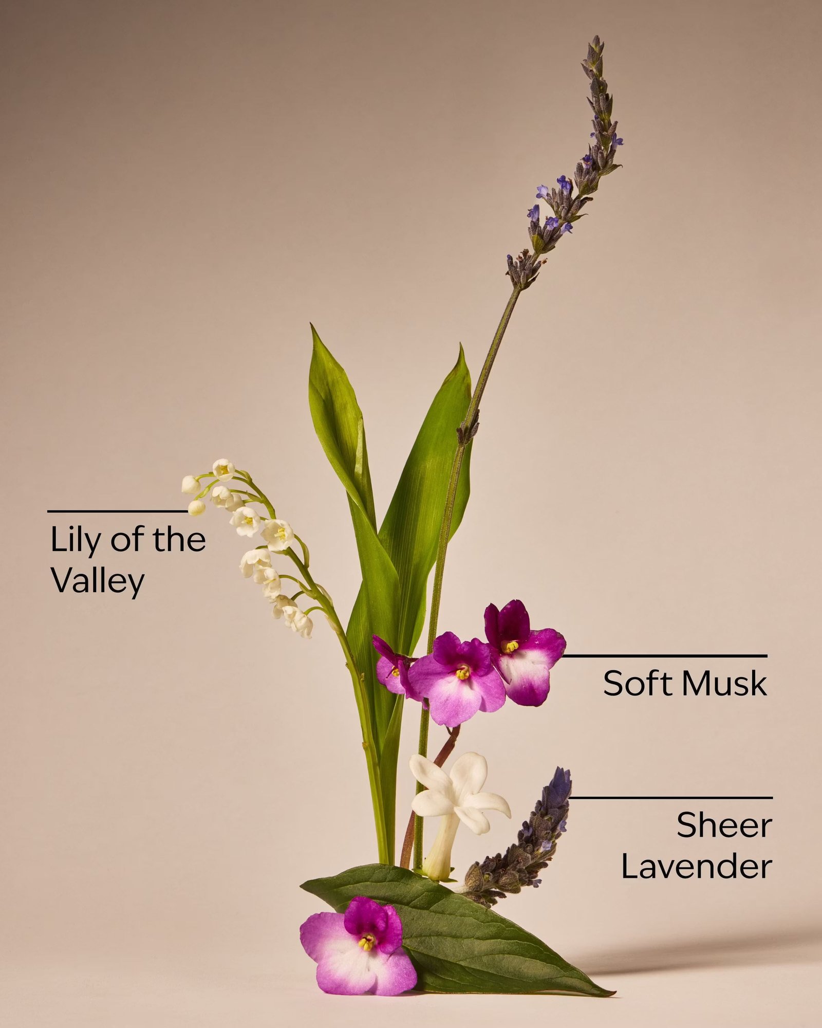 Moonlight Path Fine Fragrance Mist - Image 3