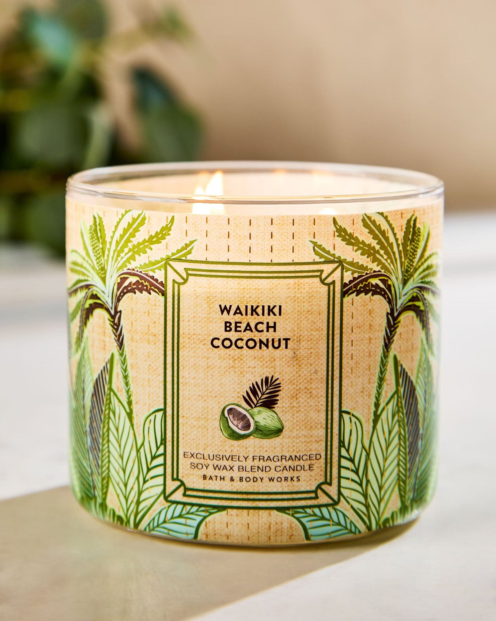 Waikiki Beach Coconut 3-Wick Candle - Image 6