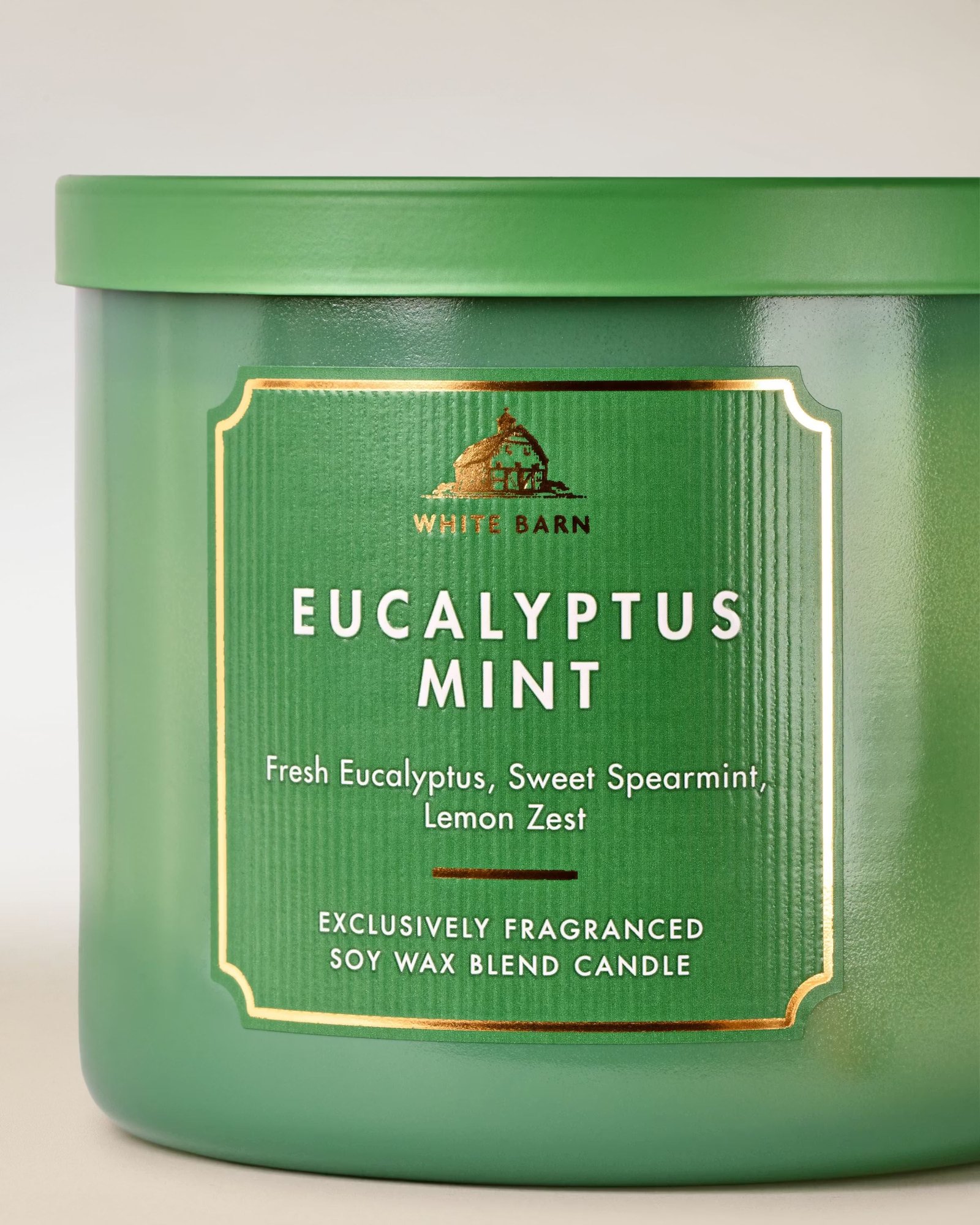 Eucalyptus Mint 3-Wick Candle - Image 2
