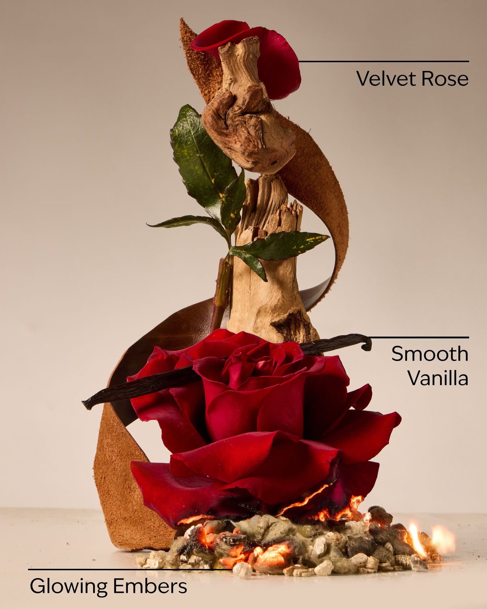 Rosewood & Suede 3-Wick Candle - Image 3