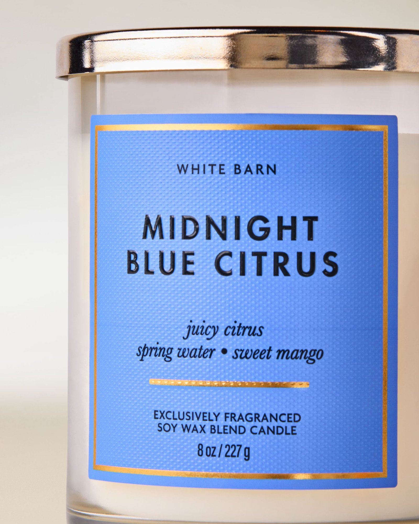 Midnight Blue Citrus Single Wick Candle - Image 2