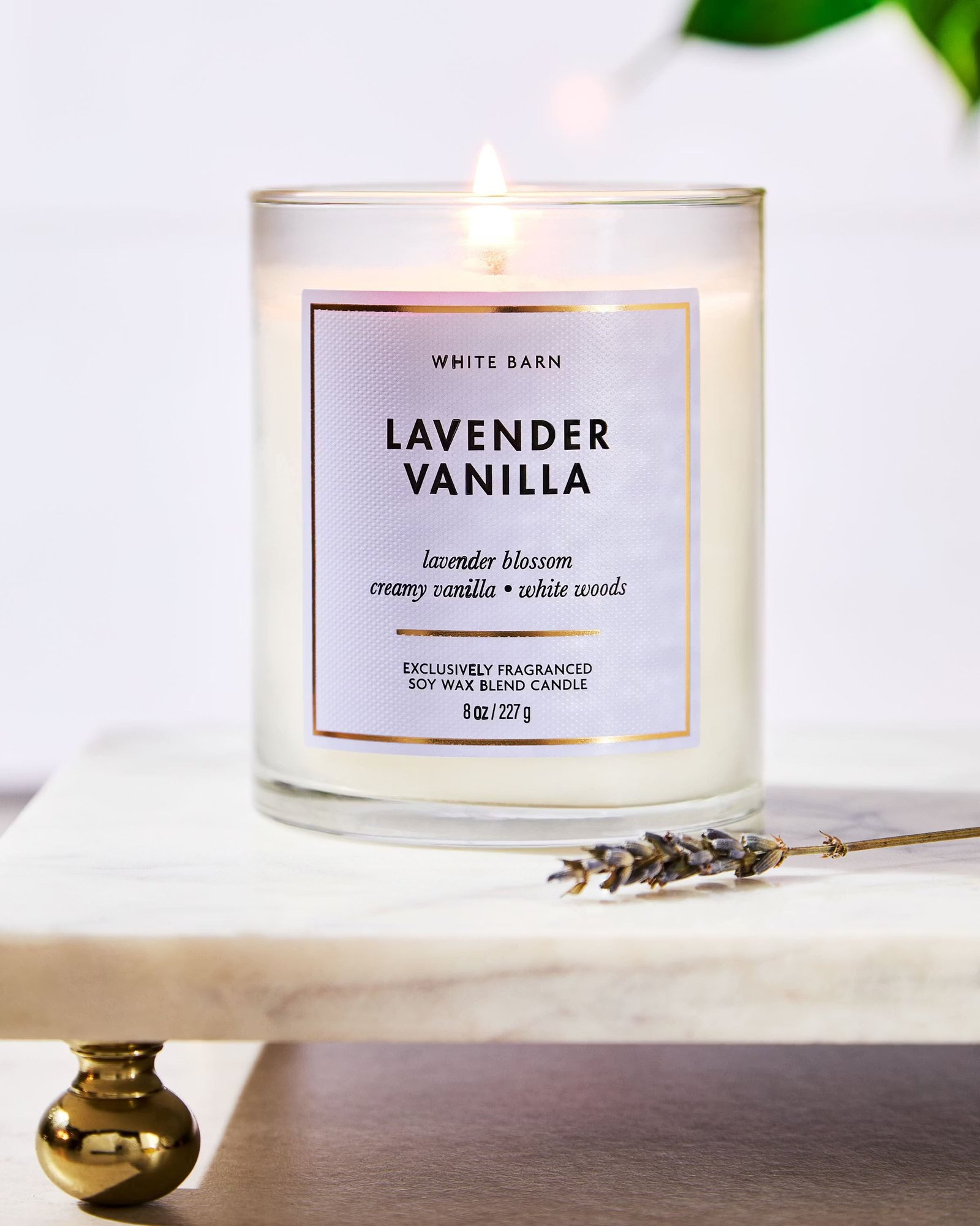 Lavender Vanilla Single Wick Candle - Image 6