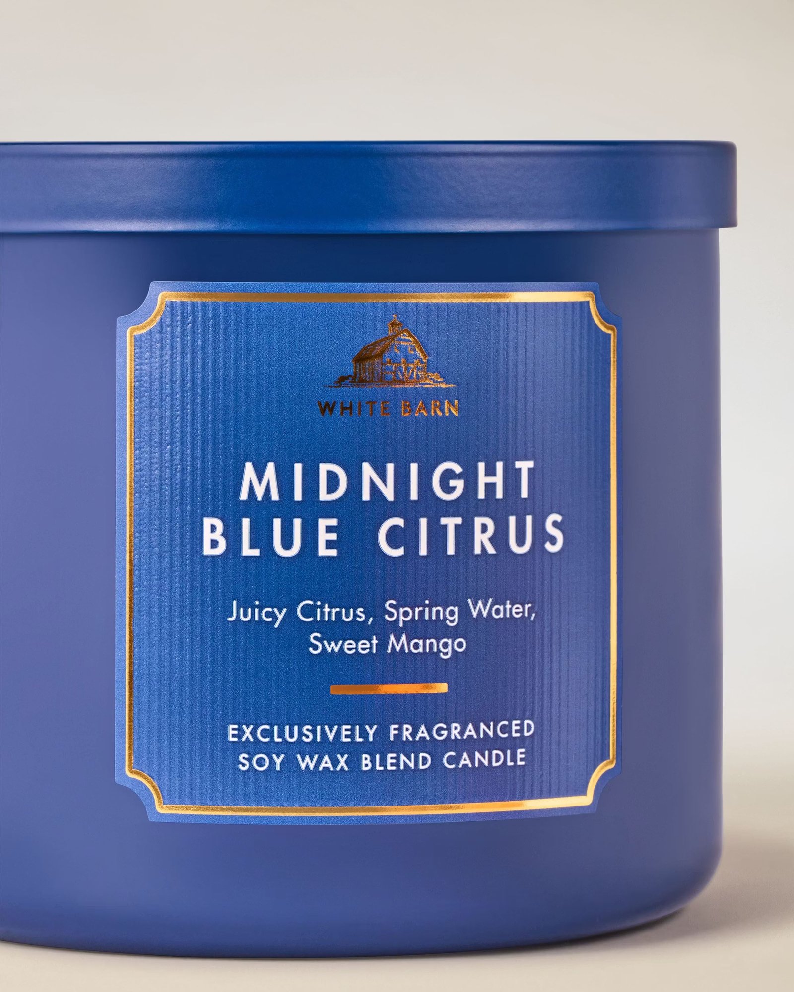Midnight Blue Citrus 3-Wick Candle - Image 2