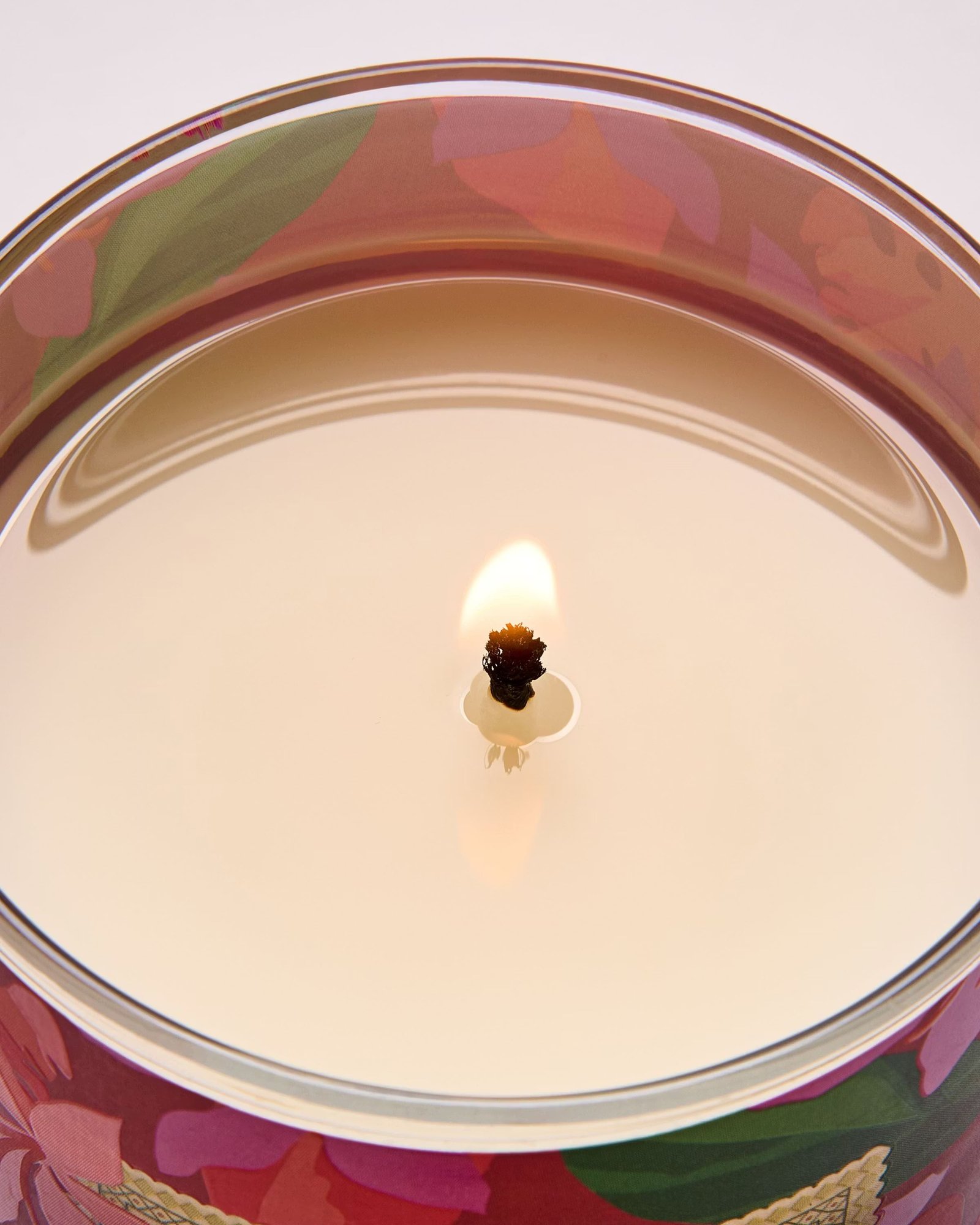 Viva Brazil Single Wick Candle - Image 5