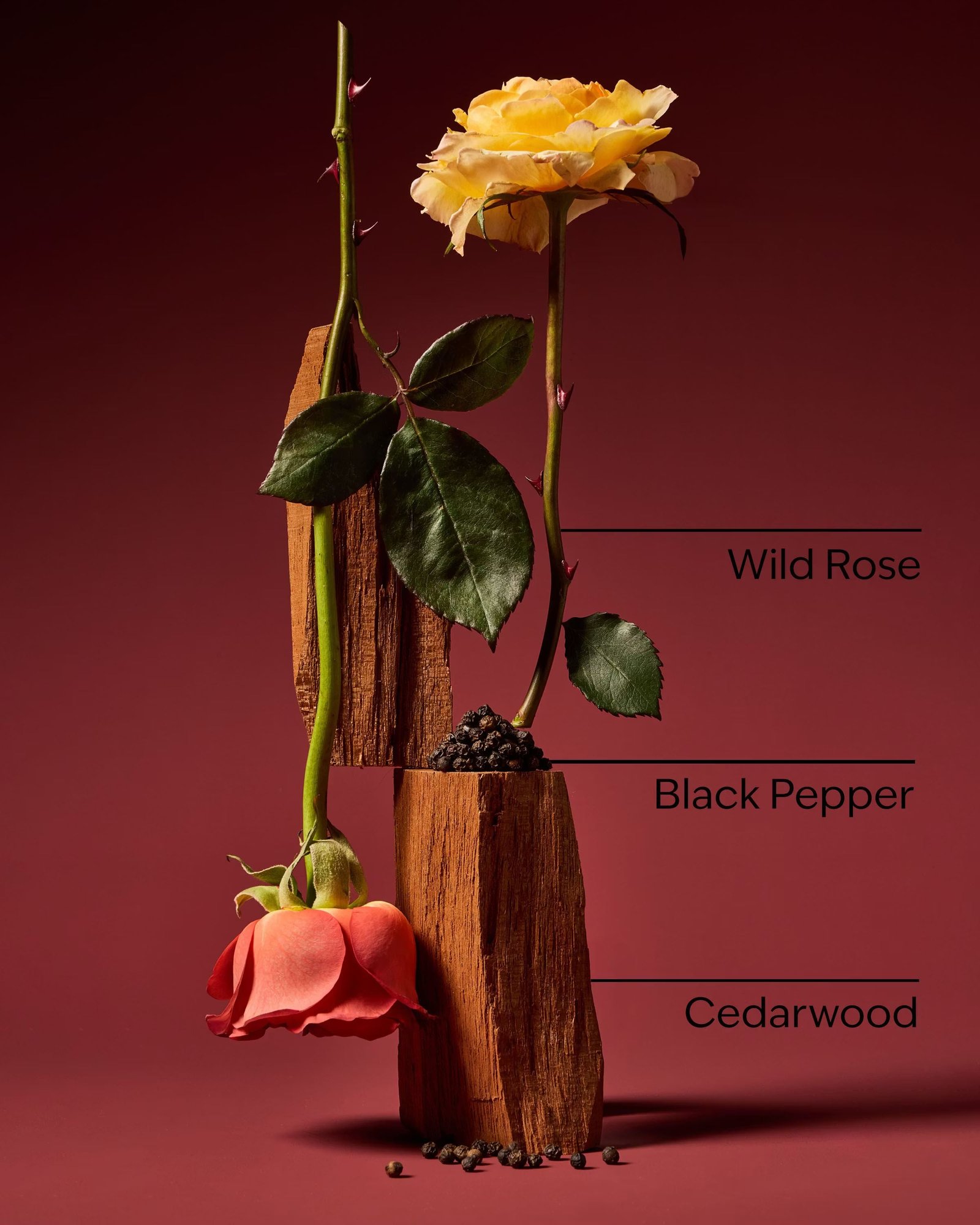 Nocturnal Rose Body Spray - Image 3