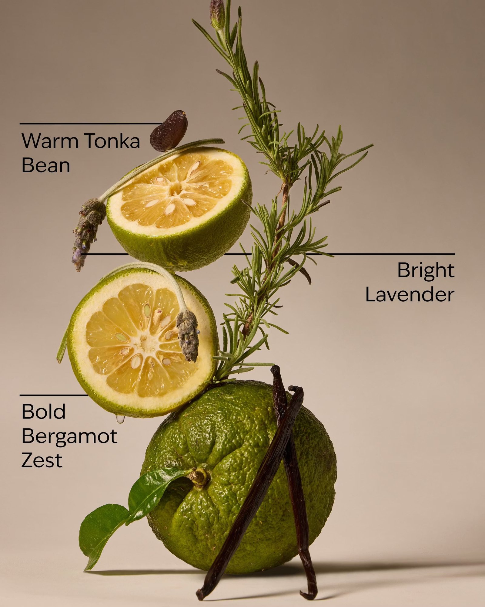 Lavender Bergamot 3-Wick Candle - Image 3