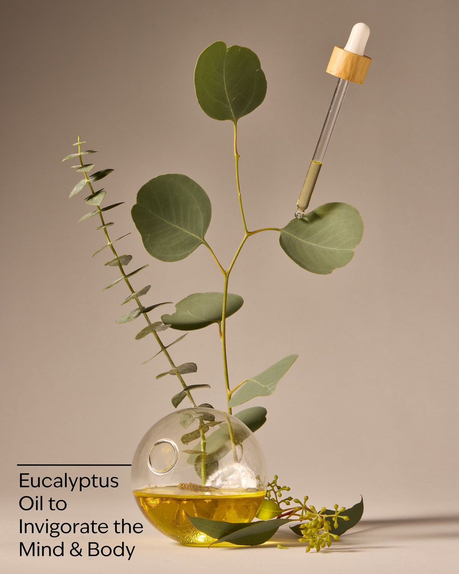 Eucalyptus Body Wash & Foam Bath - Image 3
