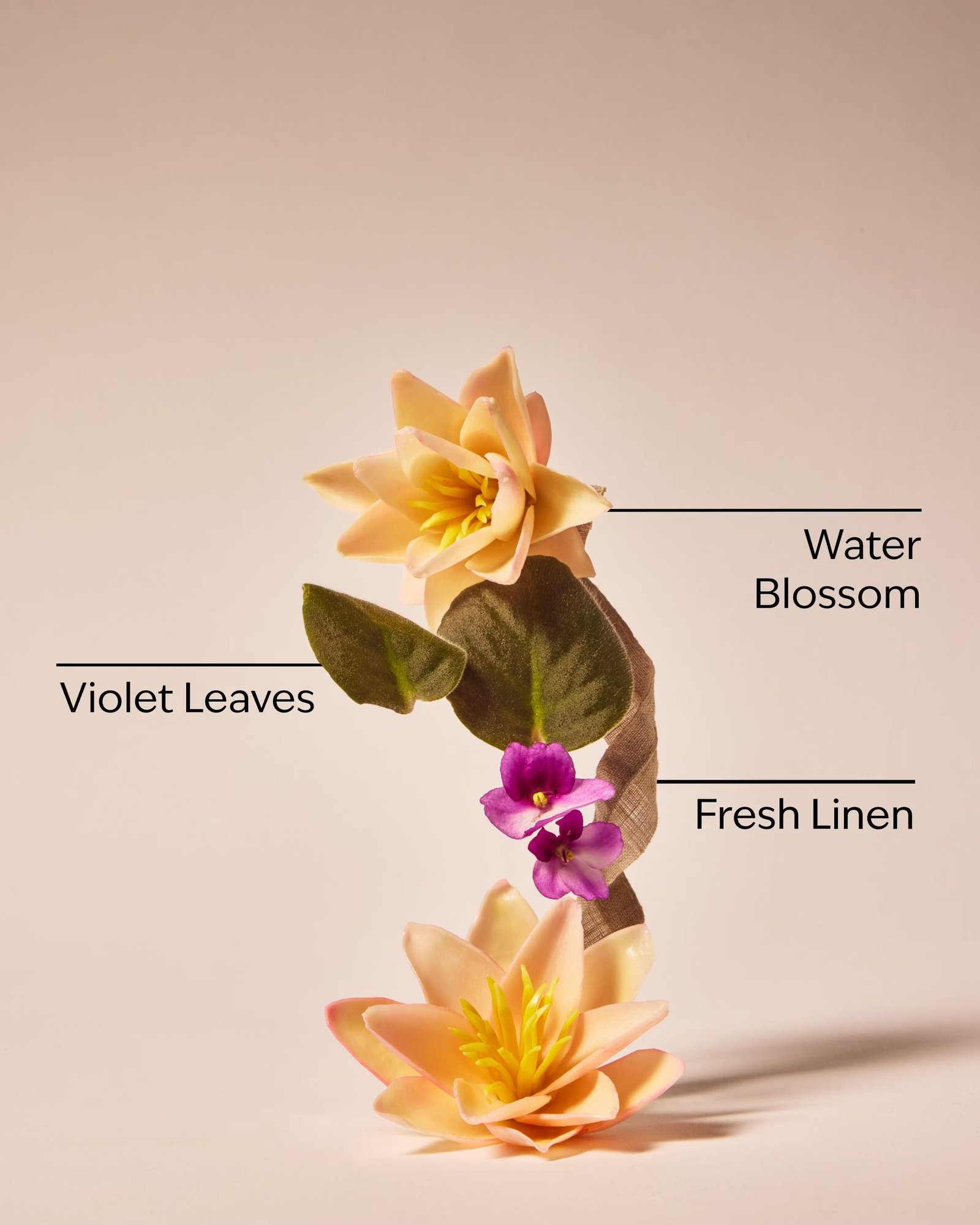 Saltwater Breeze Body Lotion - Image 3