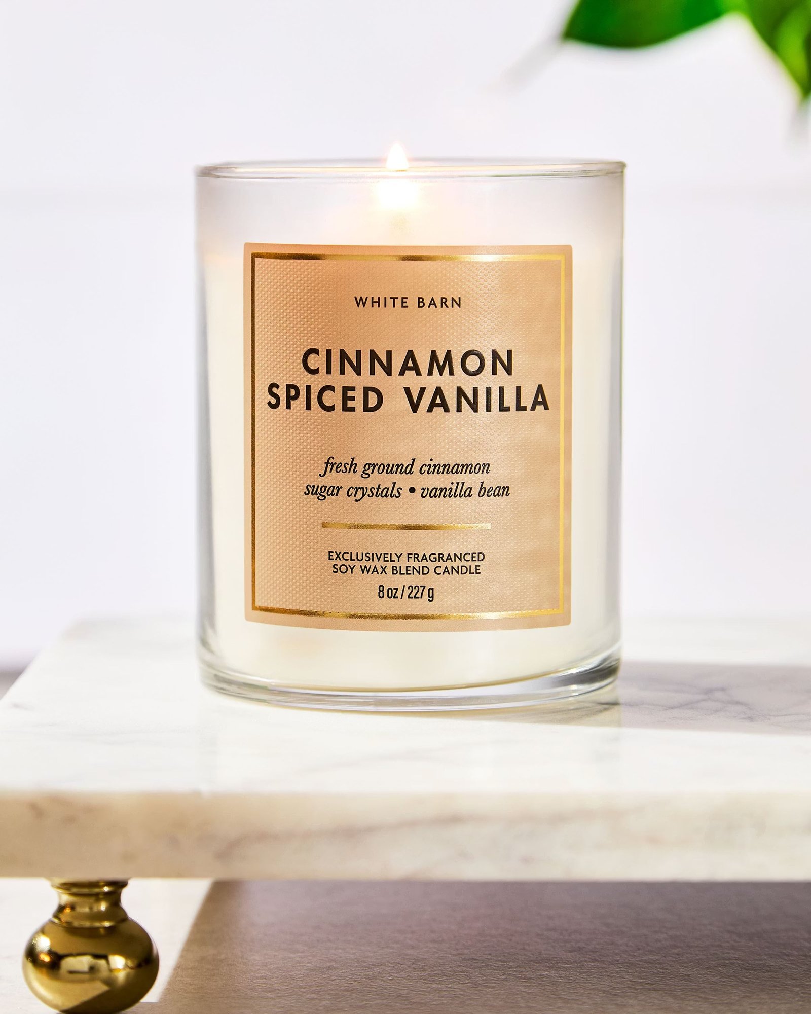 Cinnamon Spiced Vanilla Single Wick Candle - Image 6