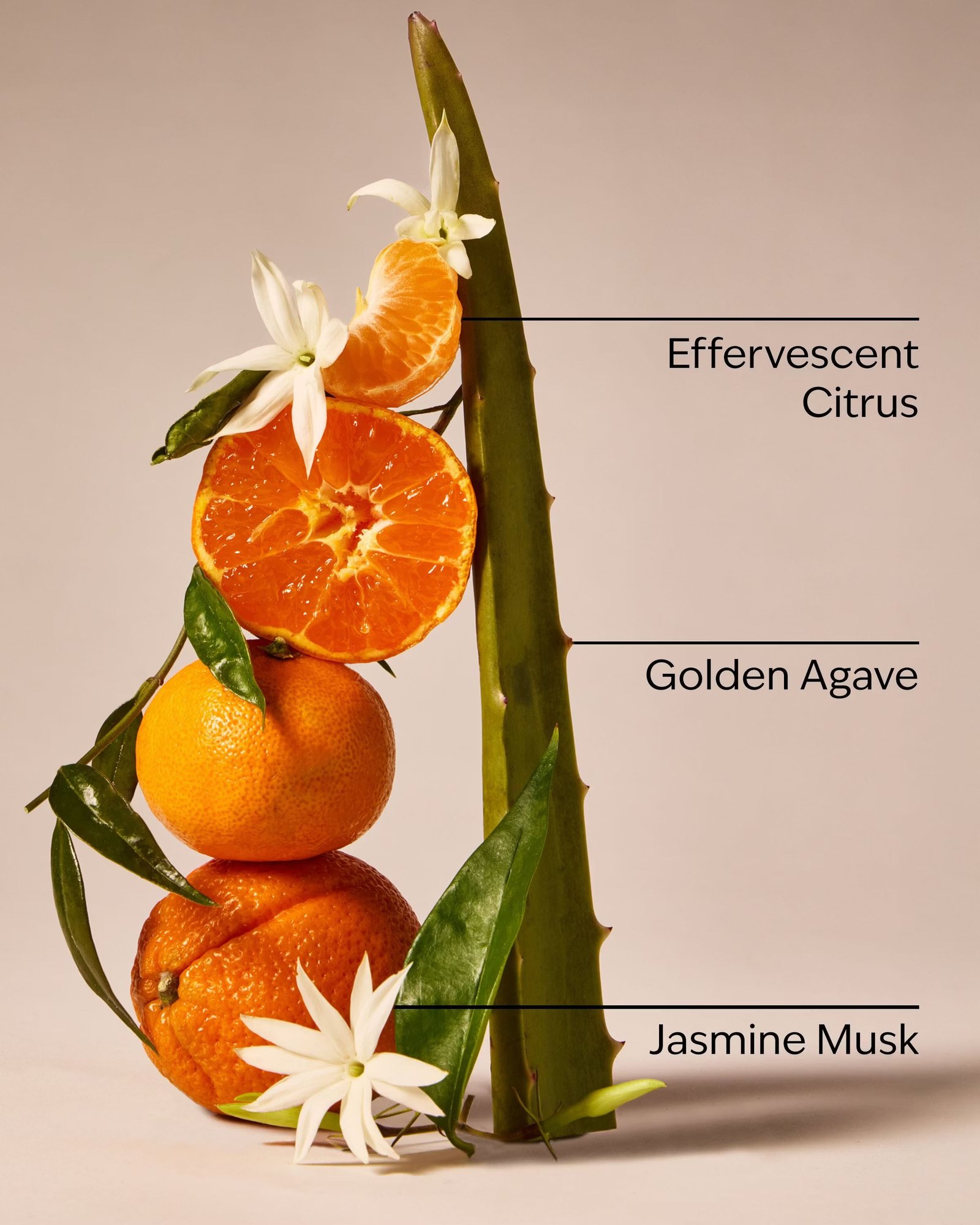 Sweet Orange & Agave 3-Wick Candle - Image 3